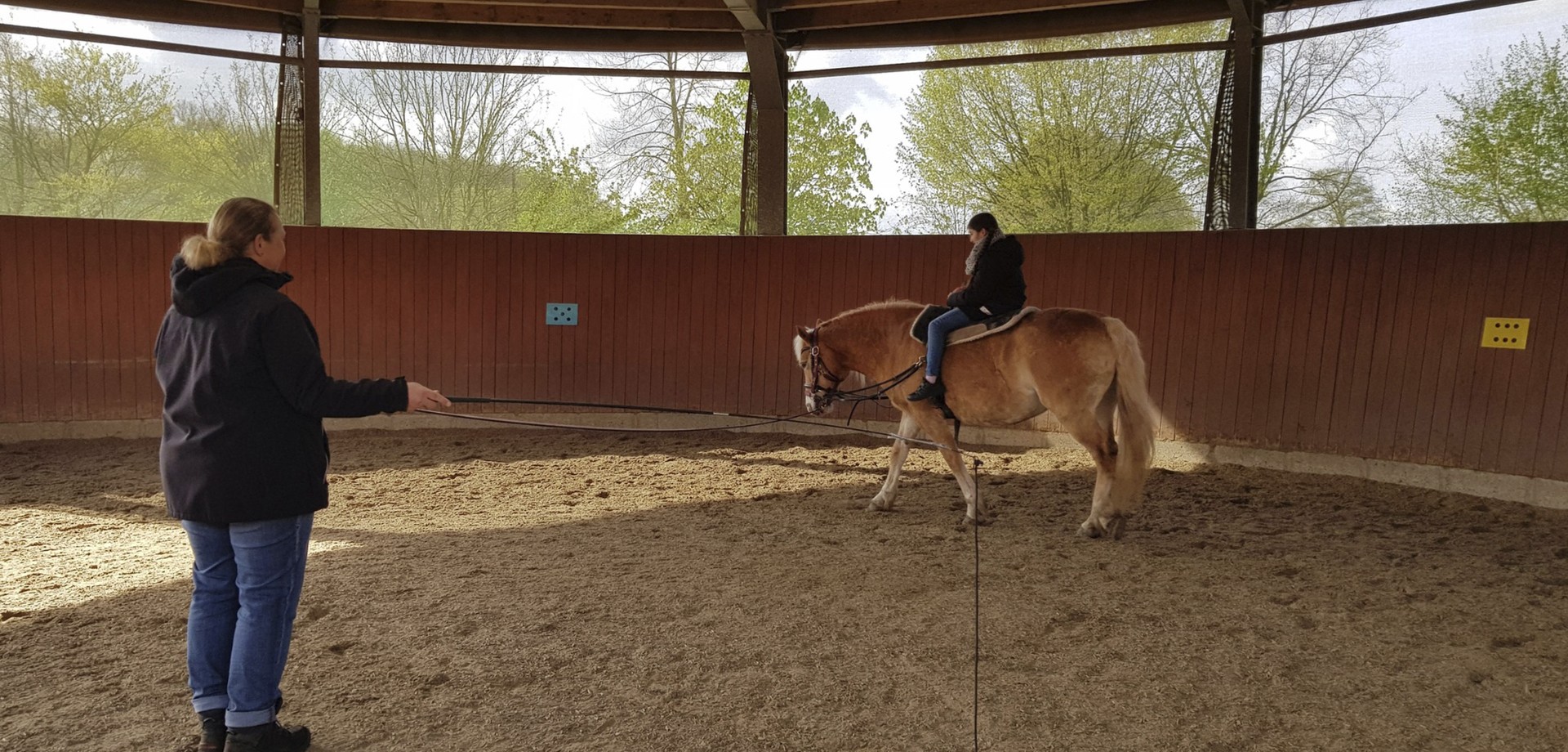 Beispielfoto für das therapeutische Reiten.